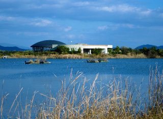 山口県立きらら浜自然観察公園